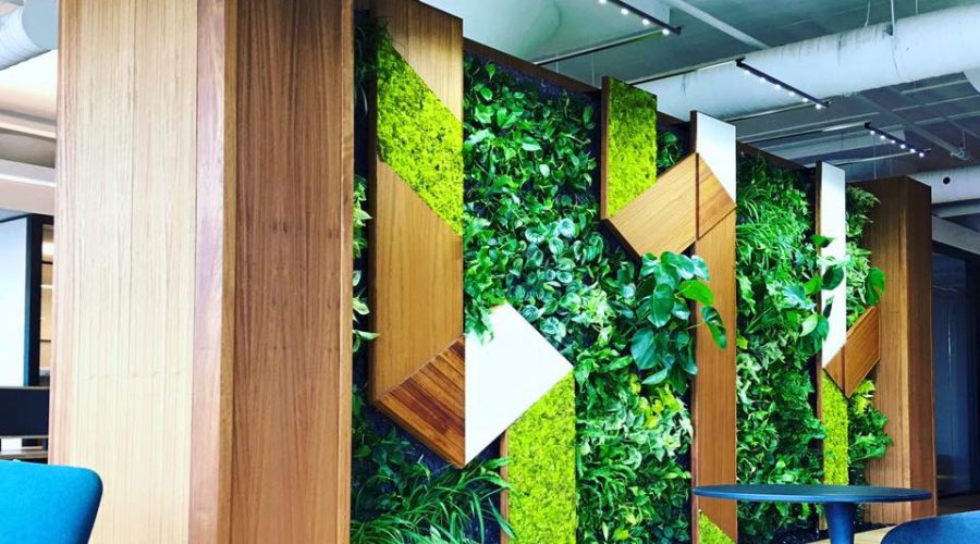 EnviroZone Design Completes Another Amazing Greenwall using SST’s Fixtures