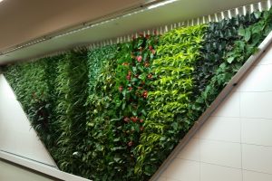 Gorgeous New Green Wall by Green Over Grey uses SST’s Fixtures!