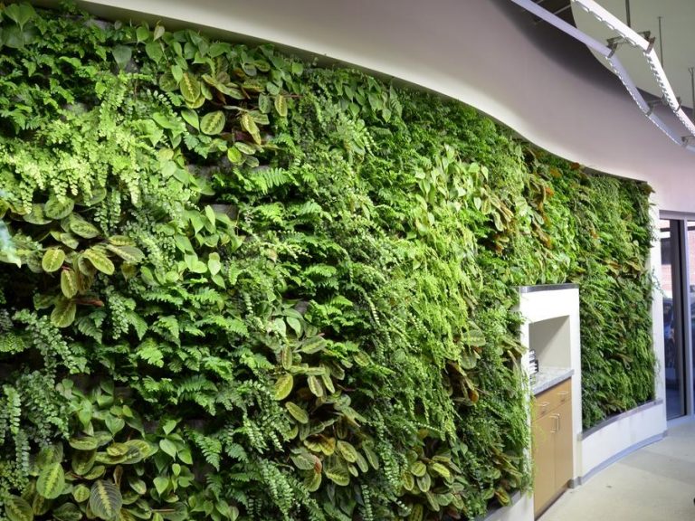 Green Wall Lighting – SST Lighting