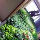 New “Elevator” Green Wall at Untappd Headquarters